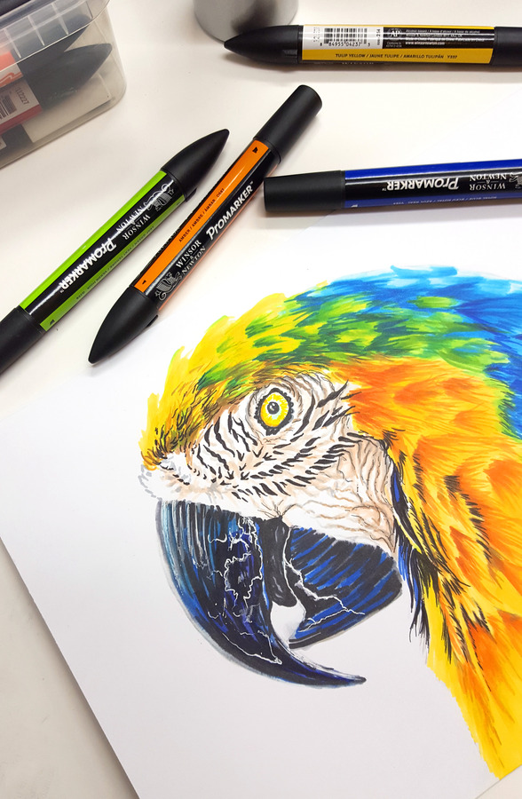 The Wall® Papier met Promarkers