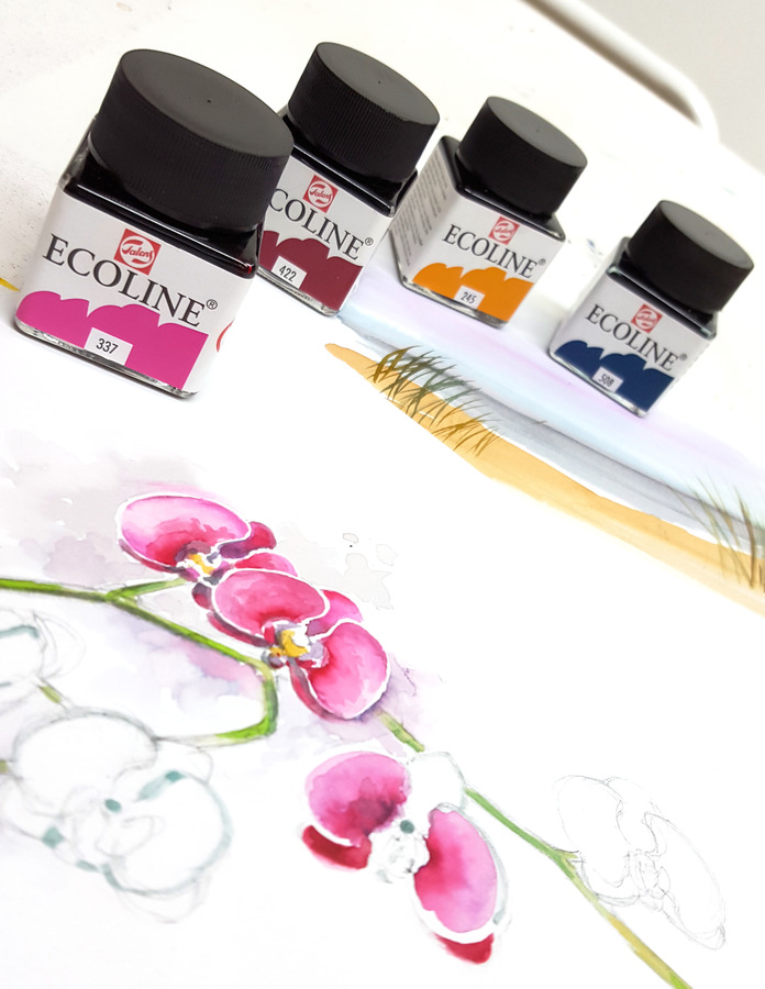 Ecoline en flacons