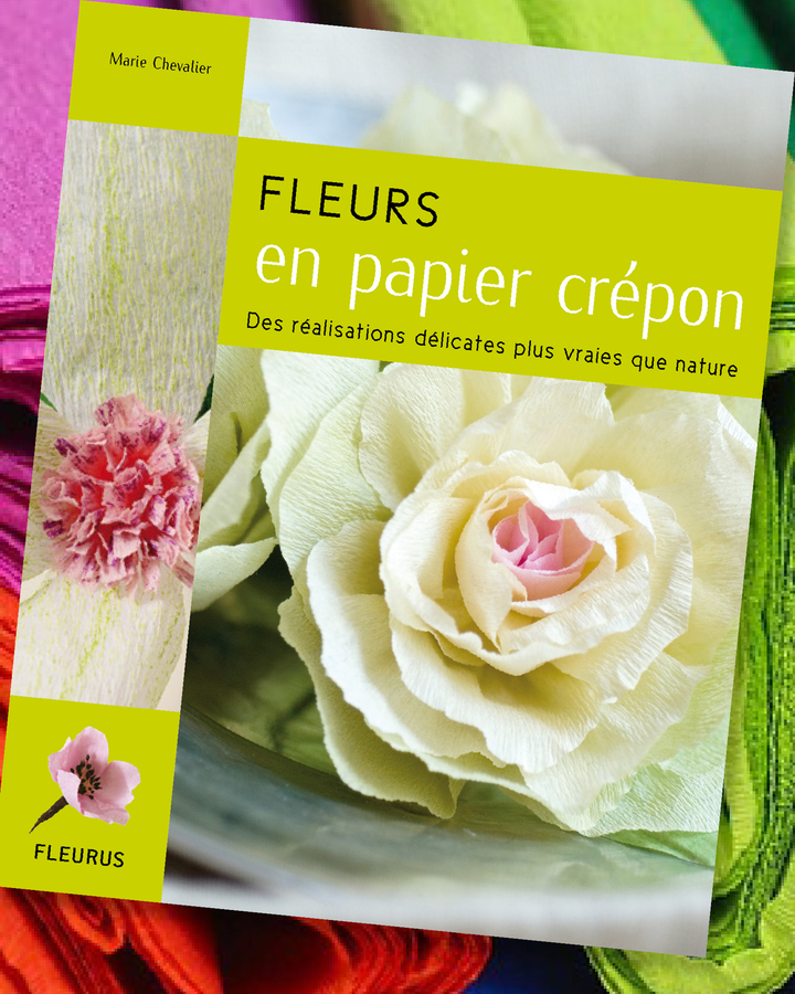 Fleurs en papier crépon : Livre