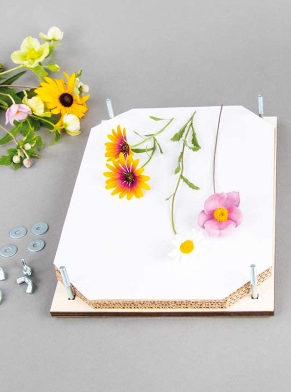  Presser ses fleurs avec Rayher